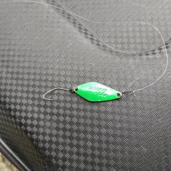 期間限定のデカニジマス